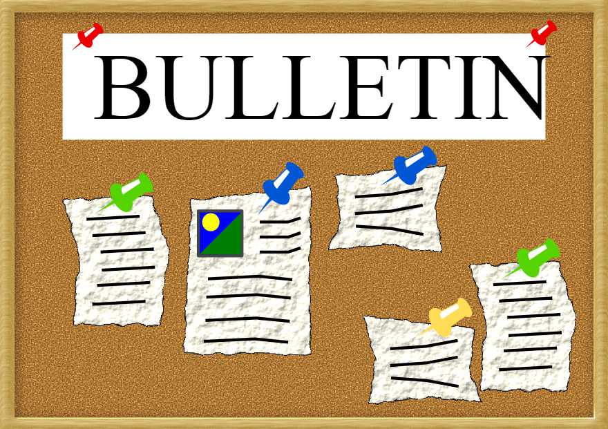 VSI Bulletin